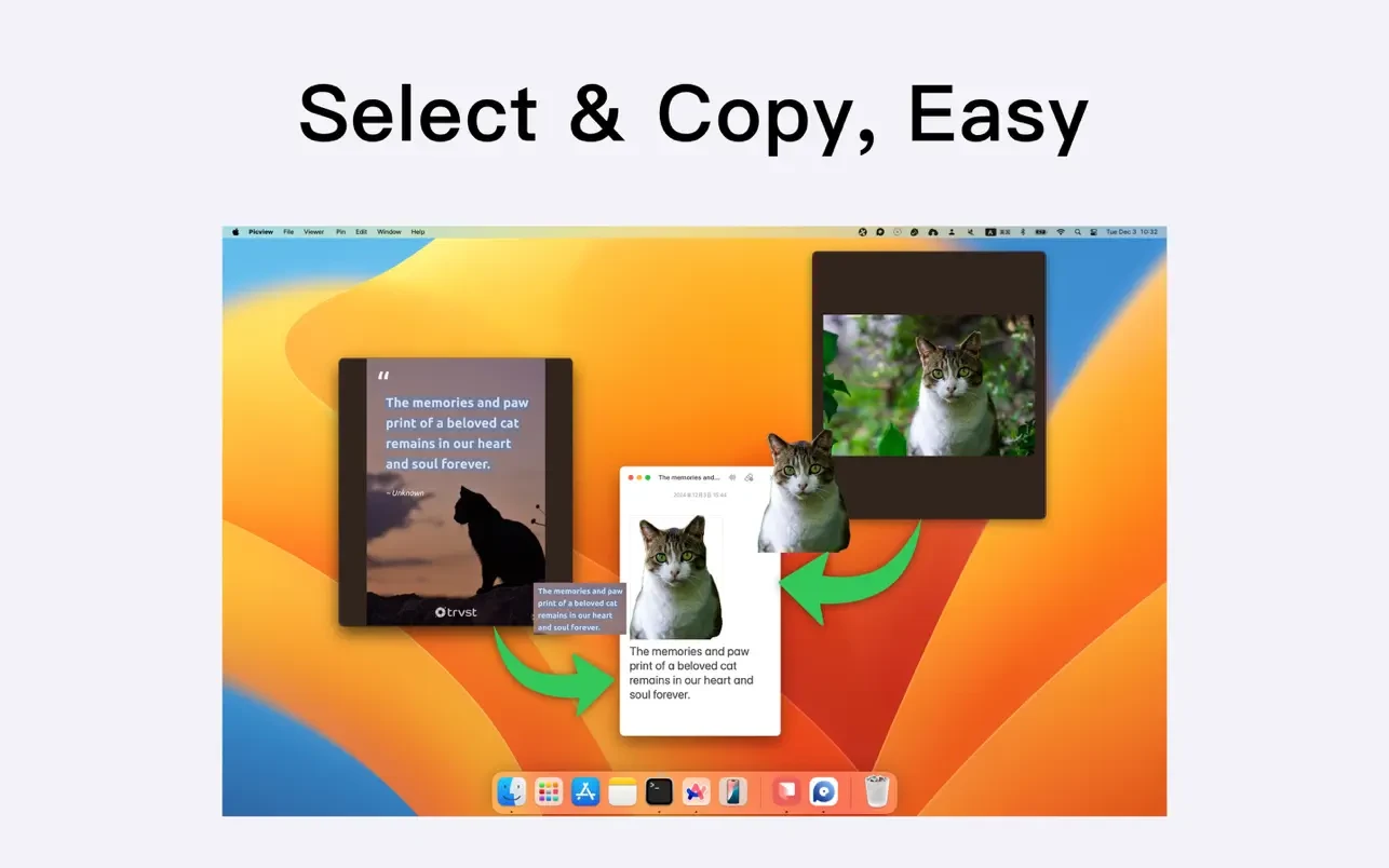 Picview - Image Viewer 截图 6