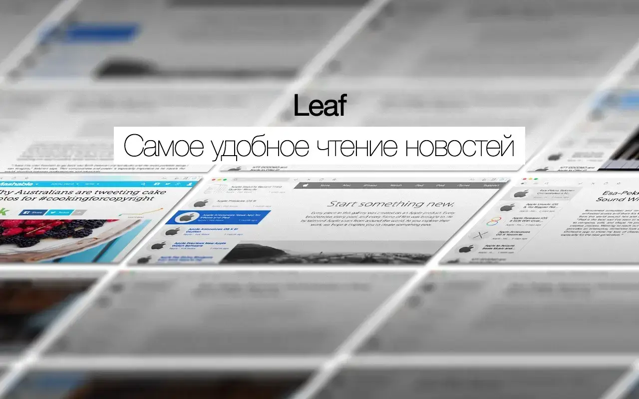 Leaf 截图 5
