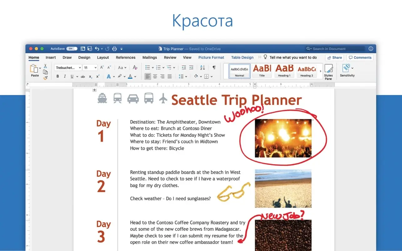 Microsoft Office 2024 截图 1
