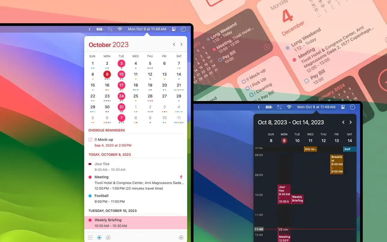 Calendar 366 II 截图 1