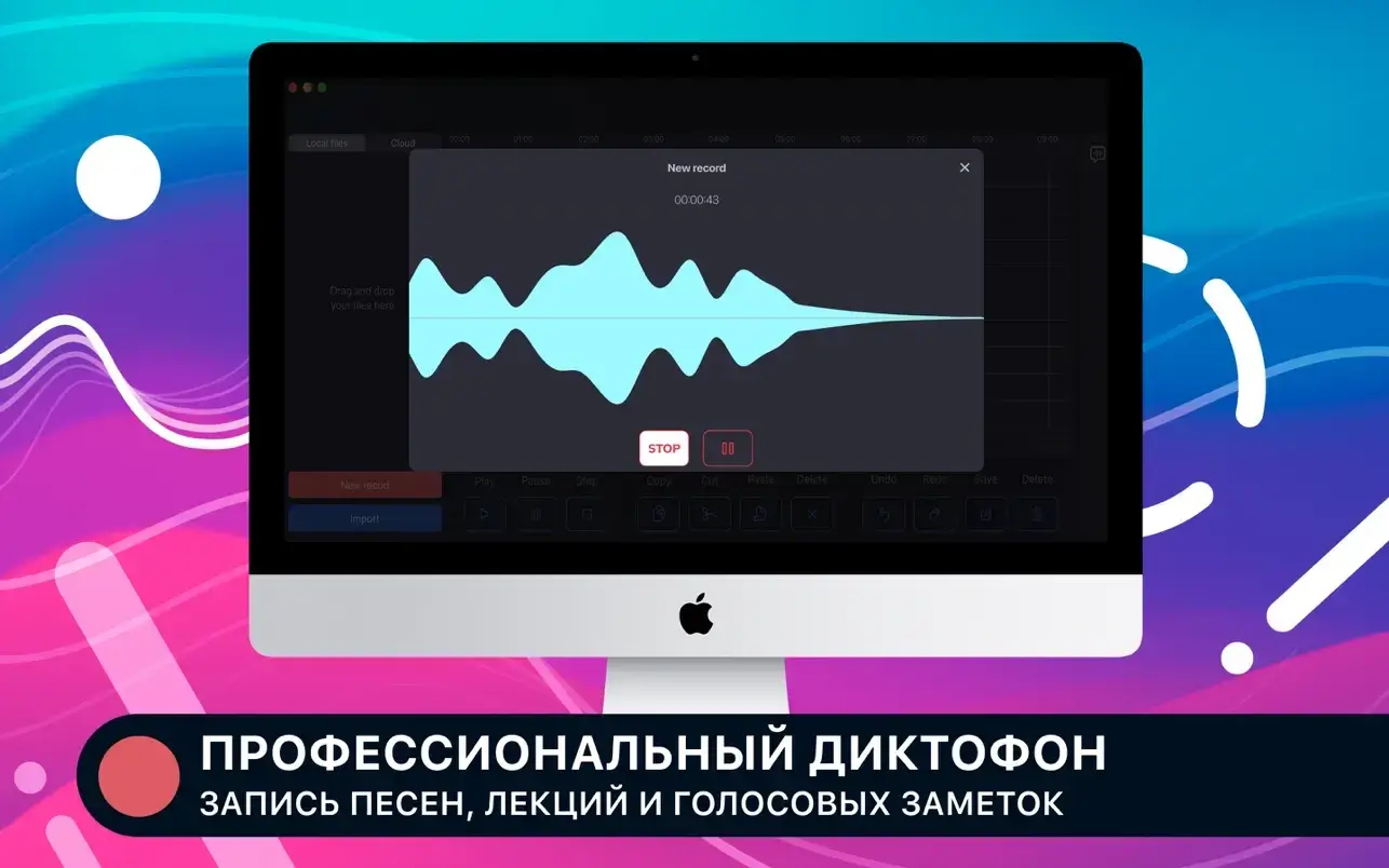 Professional Recorder & Editor 截图 1