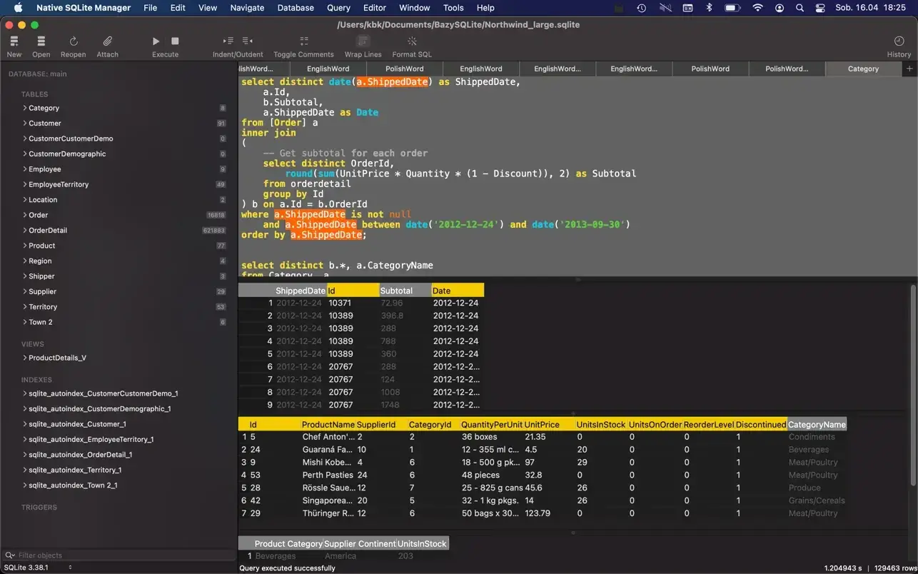 Native SQLite Manager 截图 1