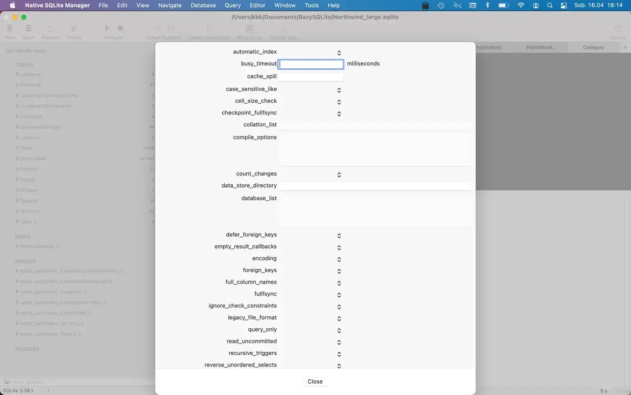 Native SQLite Manager 截图 4