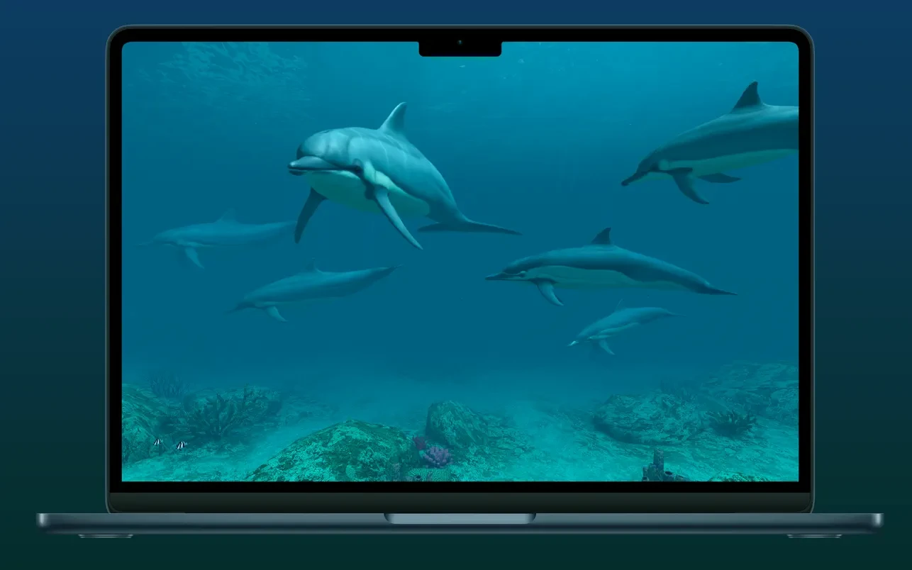 Screen Wonders 截图 3