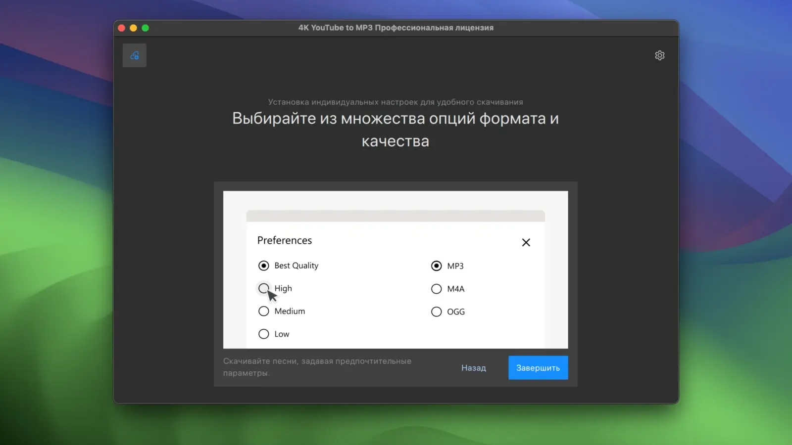 4K YouTube to MP3 Pro 截图 2