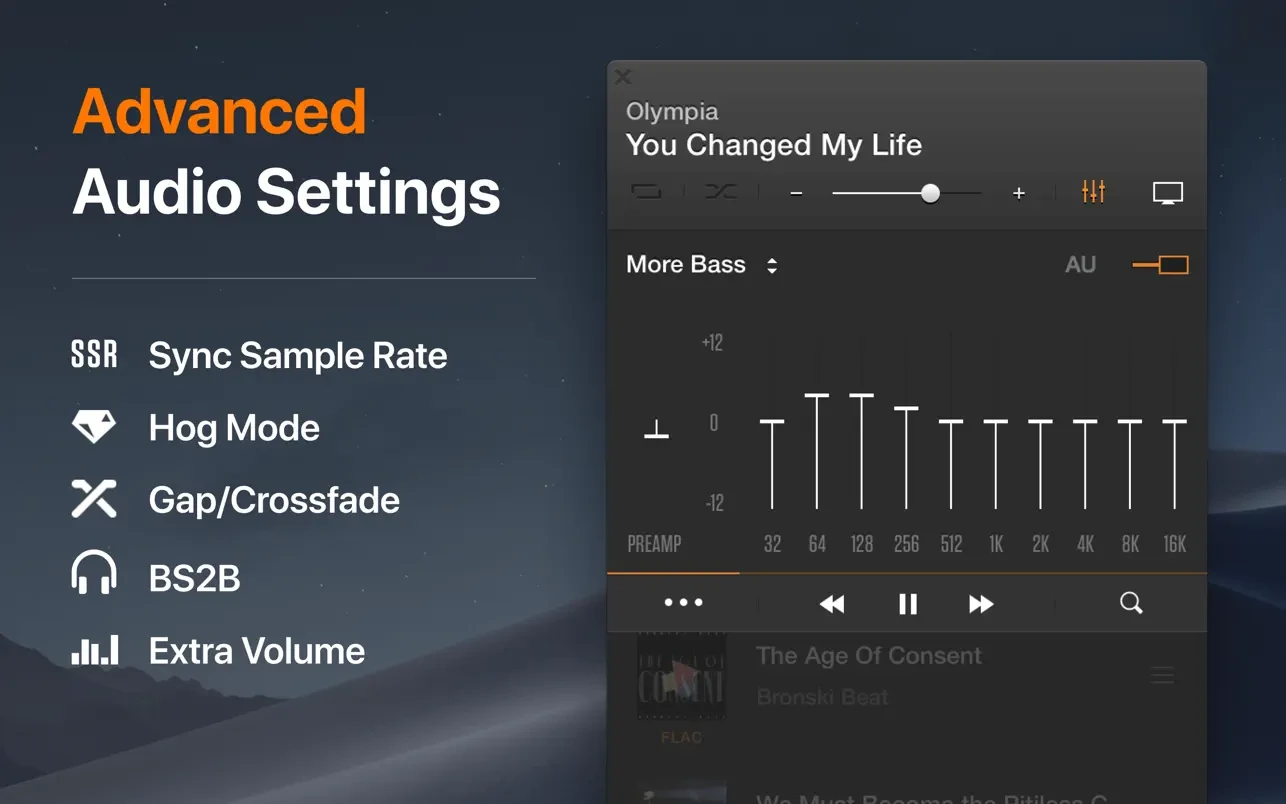 VOX: MP3 & FLAC Music Player 截图 2