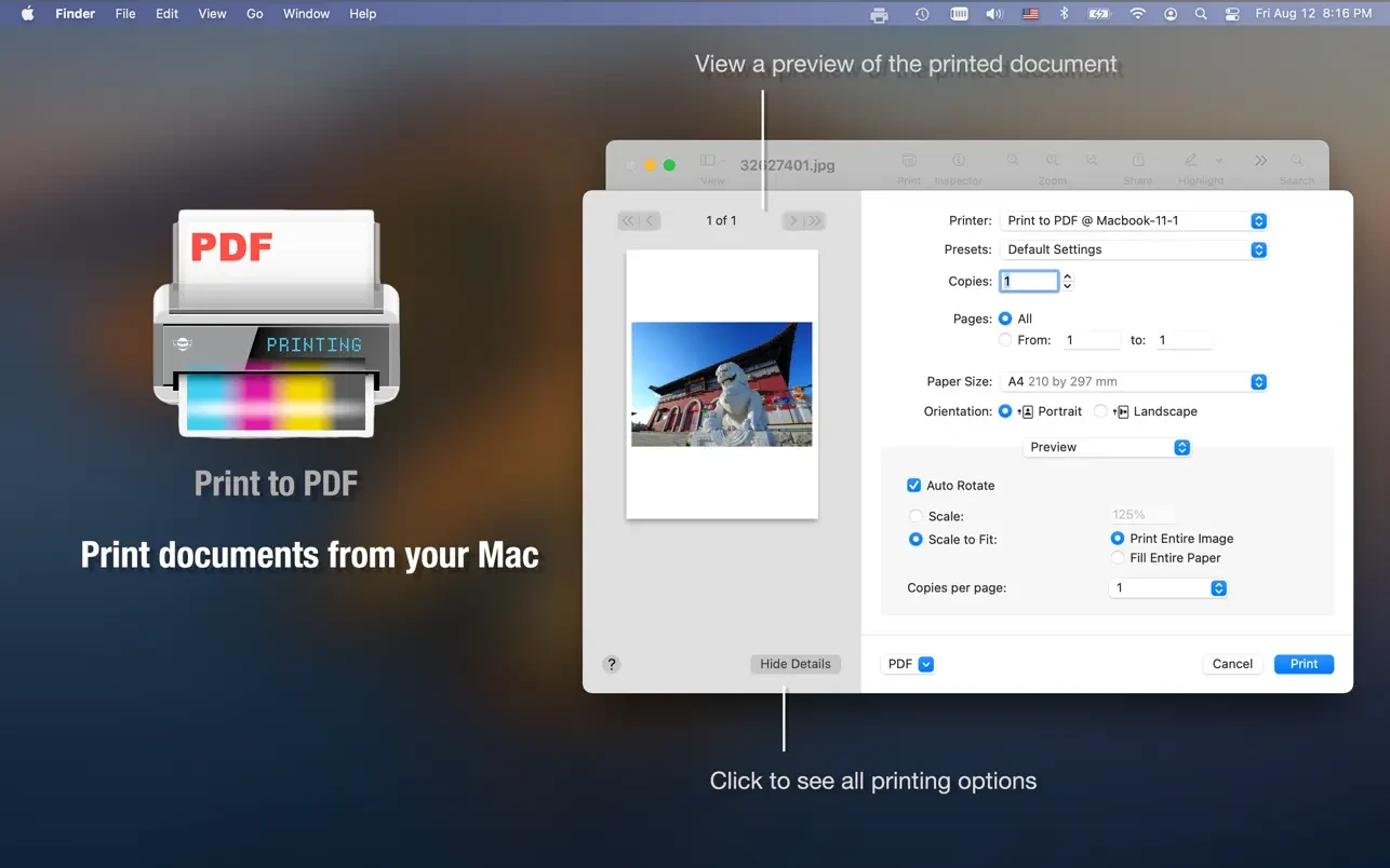 Print to PDF Pro 截图 2