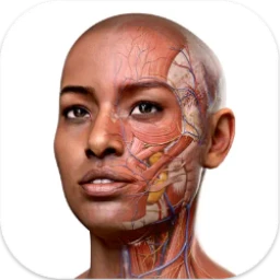 Complete Anatomy