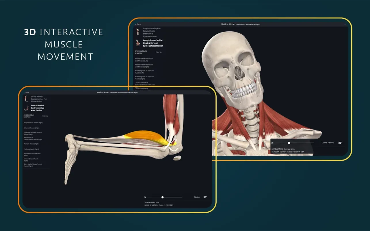 Complete Anatomy 截图 3