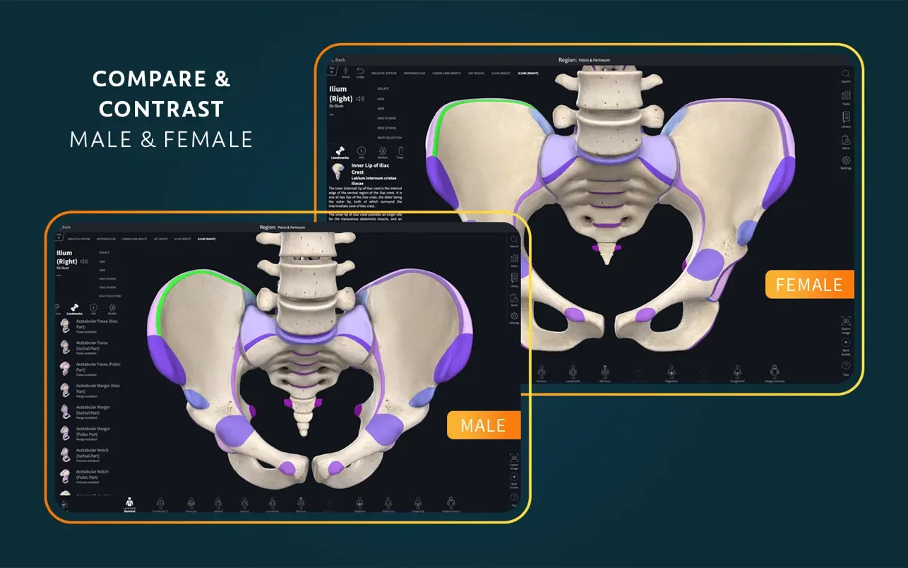 Complete Anatomy 截图 4