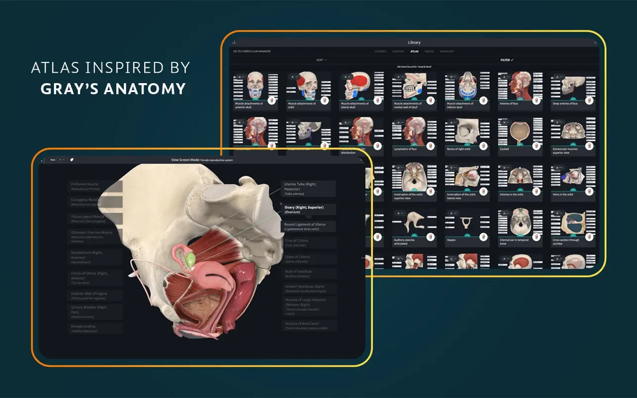 Complete Anatomy 截图 5
