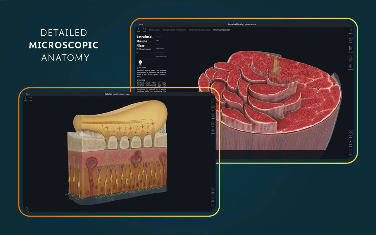 Complete Anatomy 截图 6