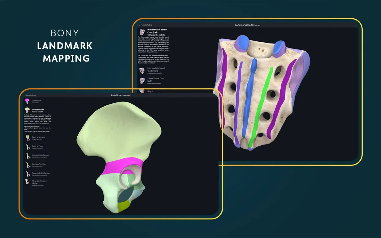 Complete Anatomy 截图 9
