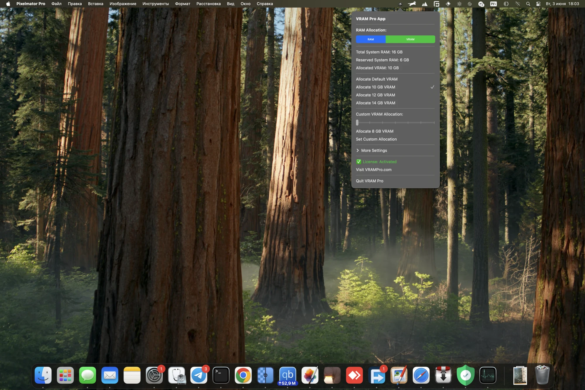 VRAM Pro 截图 1