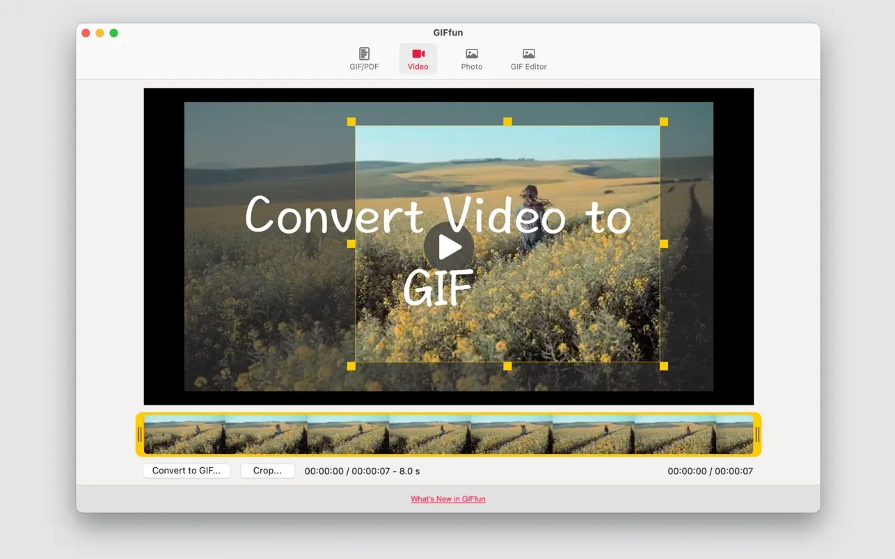 GIFfun - Video,Photos to GIF 截图 1