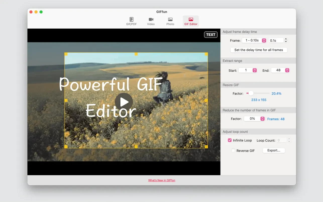GIFfun - Video,Photos to GIF 截图 2