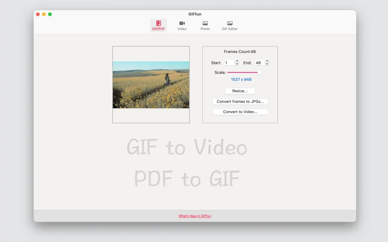 GIFfun - Video,Photos to GIF 截图 4
