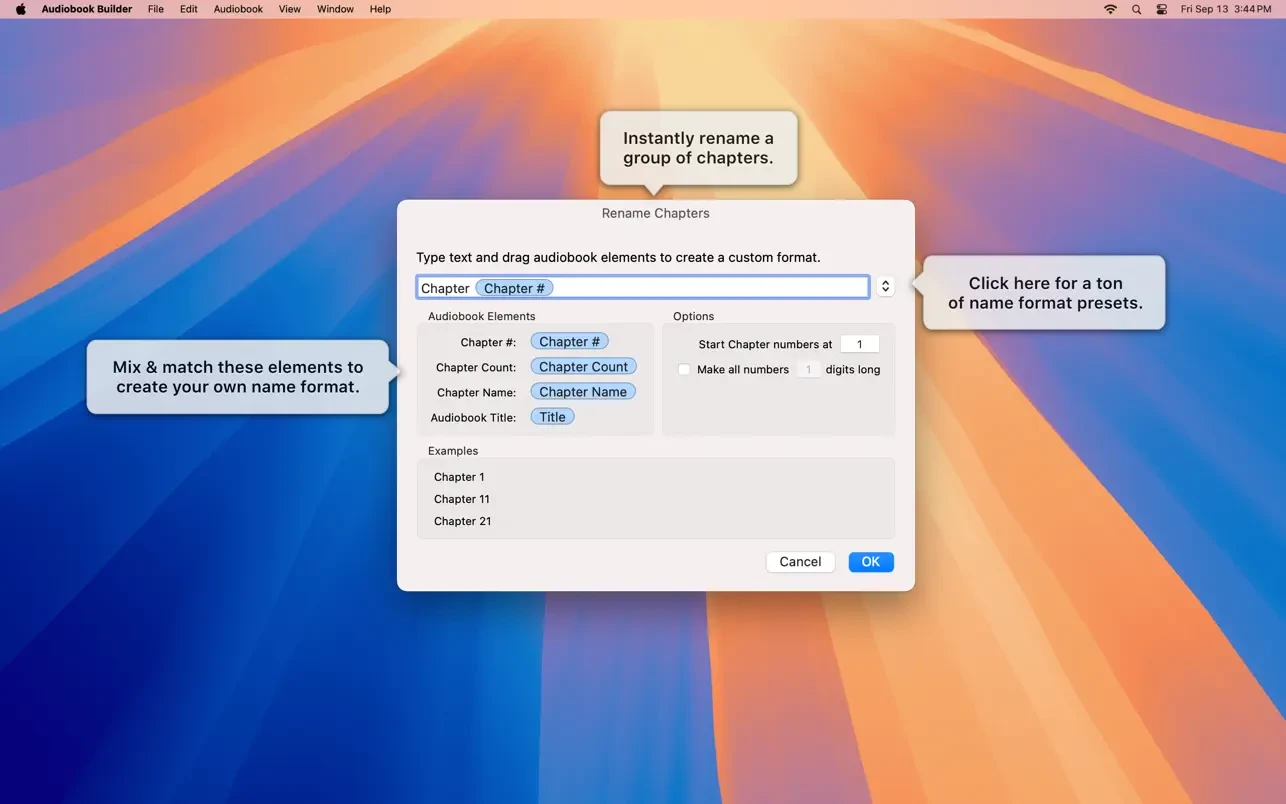 Audiobook Builder 截图 5
