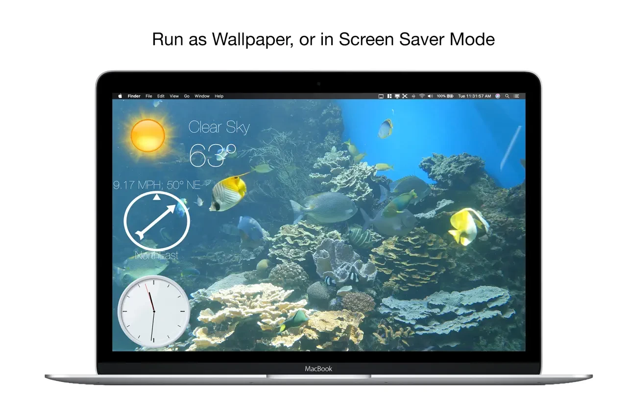 Aquarium 4K - Live Wallpaper 截图 3