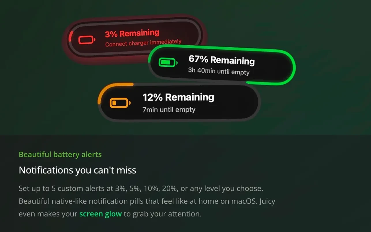 Juicy: Battery Alerts & Health 截图 2