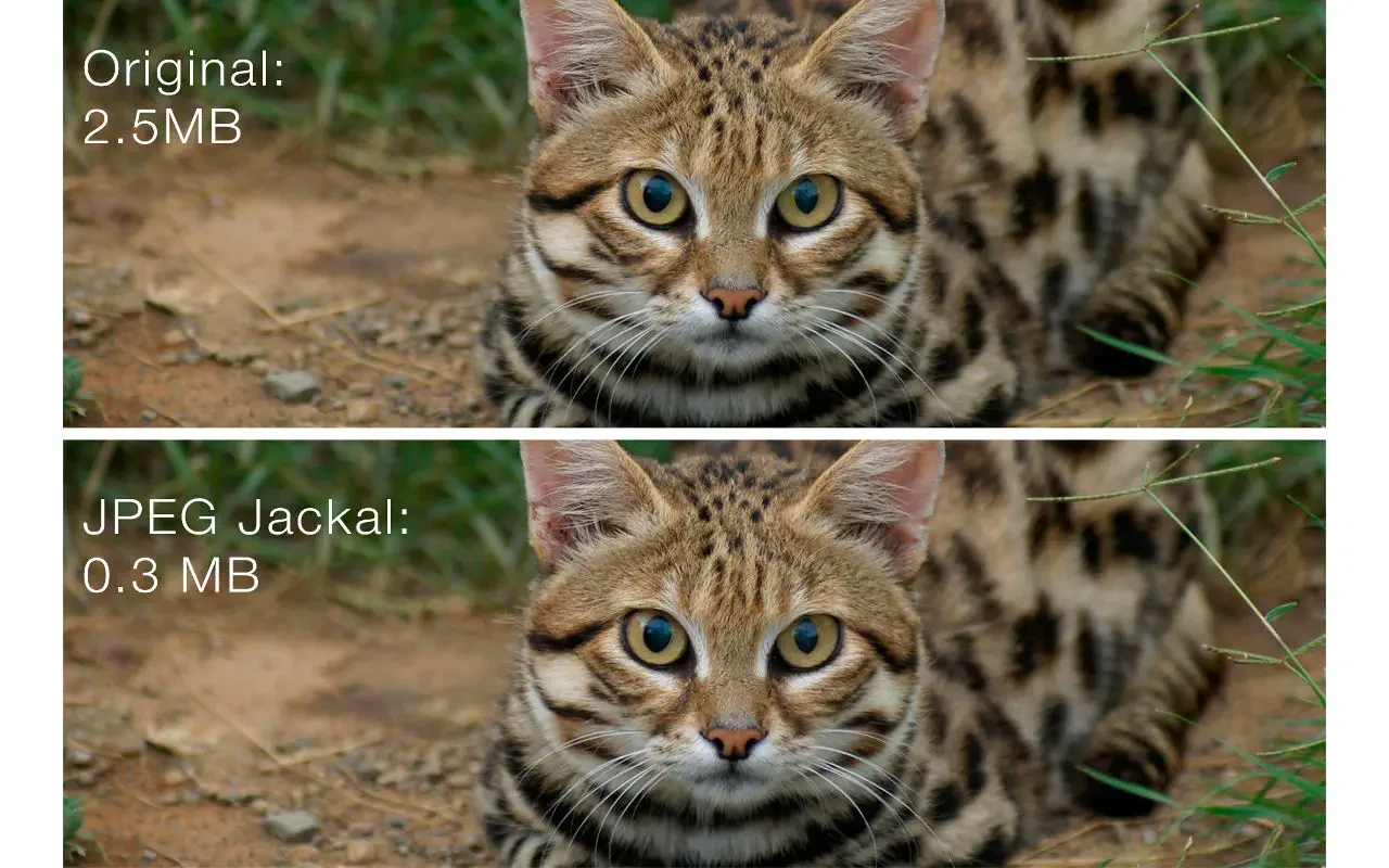JPEG Jackal 截图 2