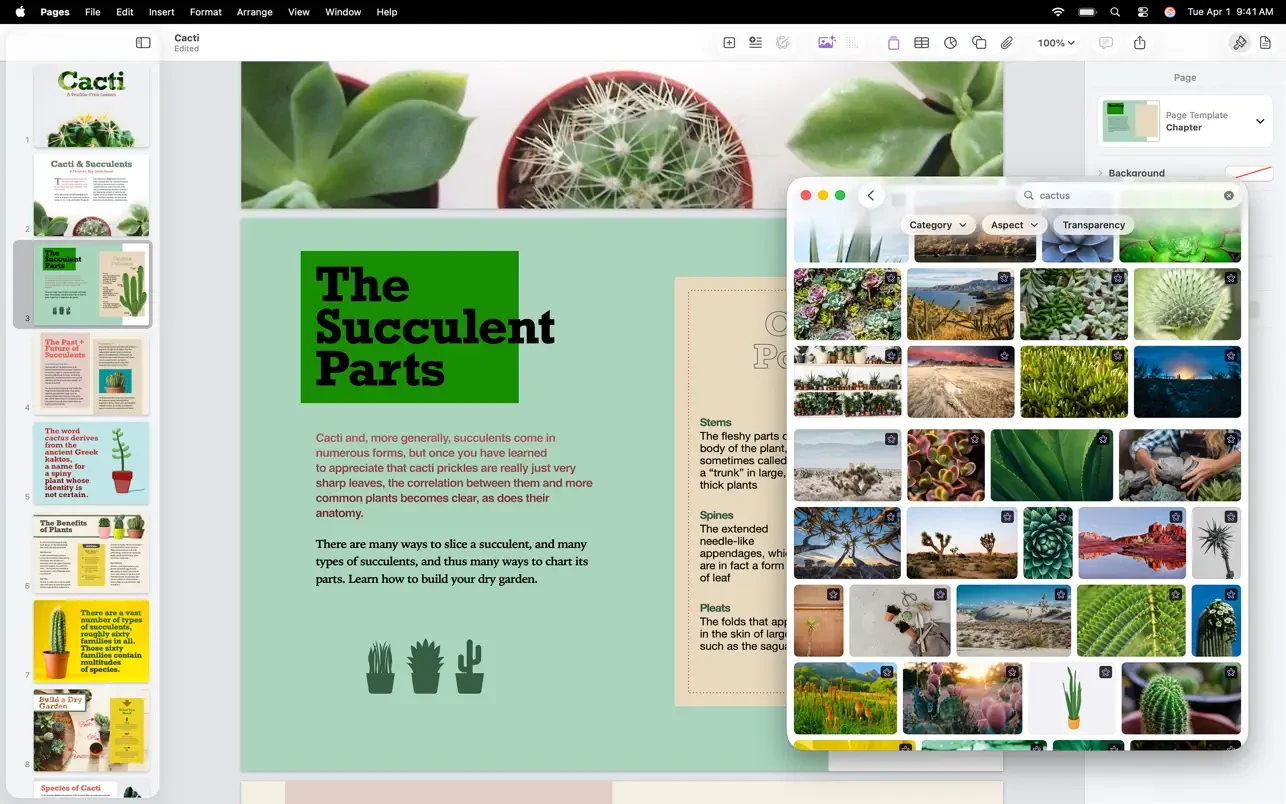 Pages Creator Studio 截图 4