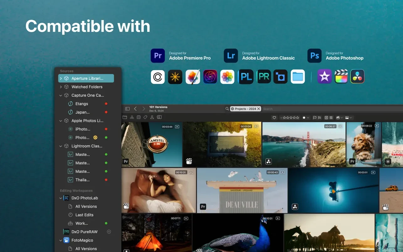 Peakto – Al Media Organizer 截图 2