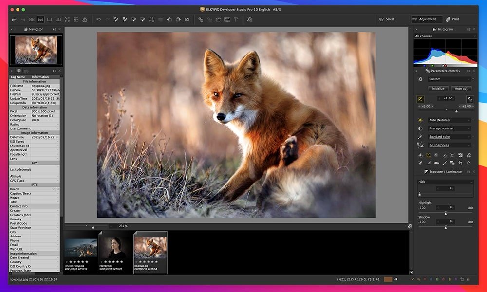 SILKYPIX Developer Studio Pro 截图 4