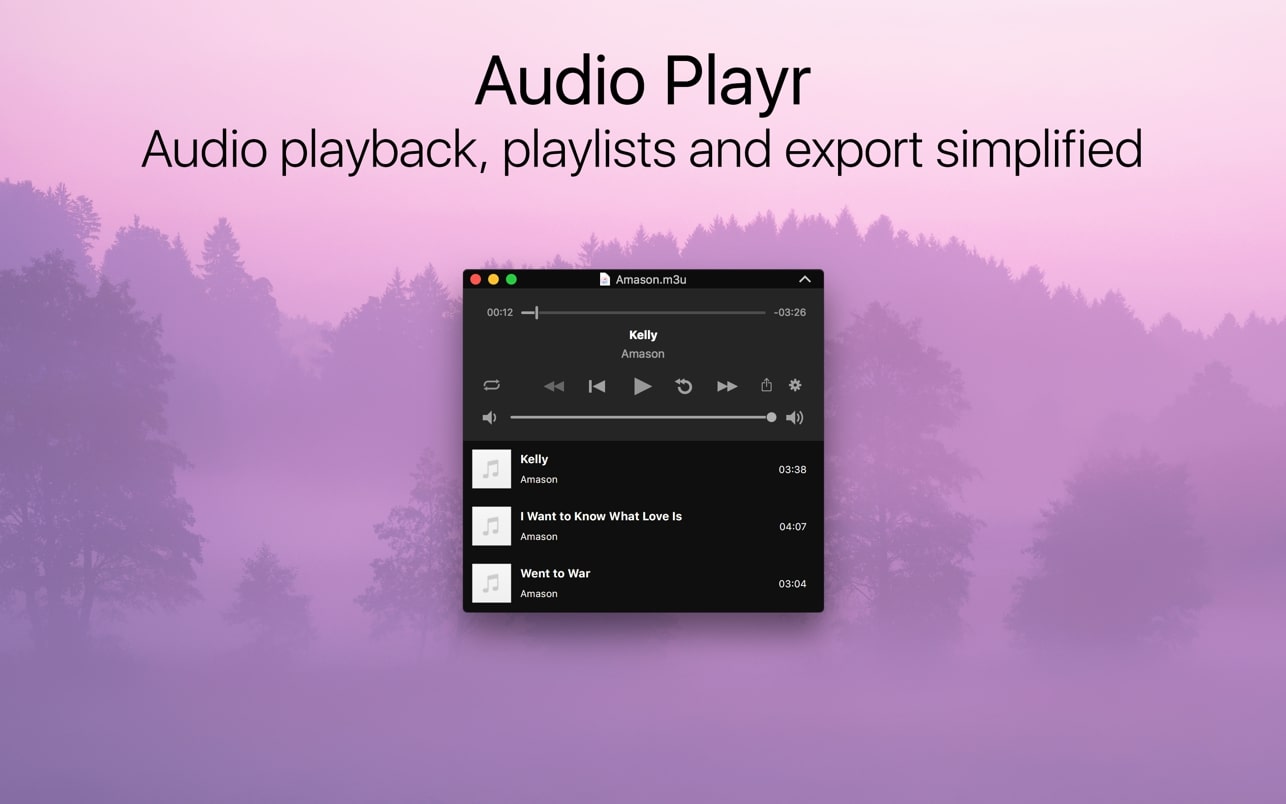 Audio Playr 截图 1