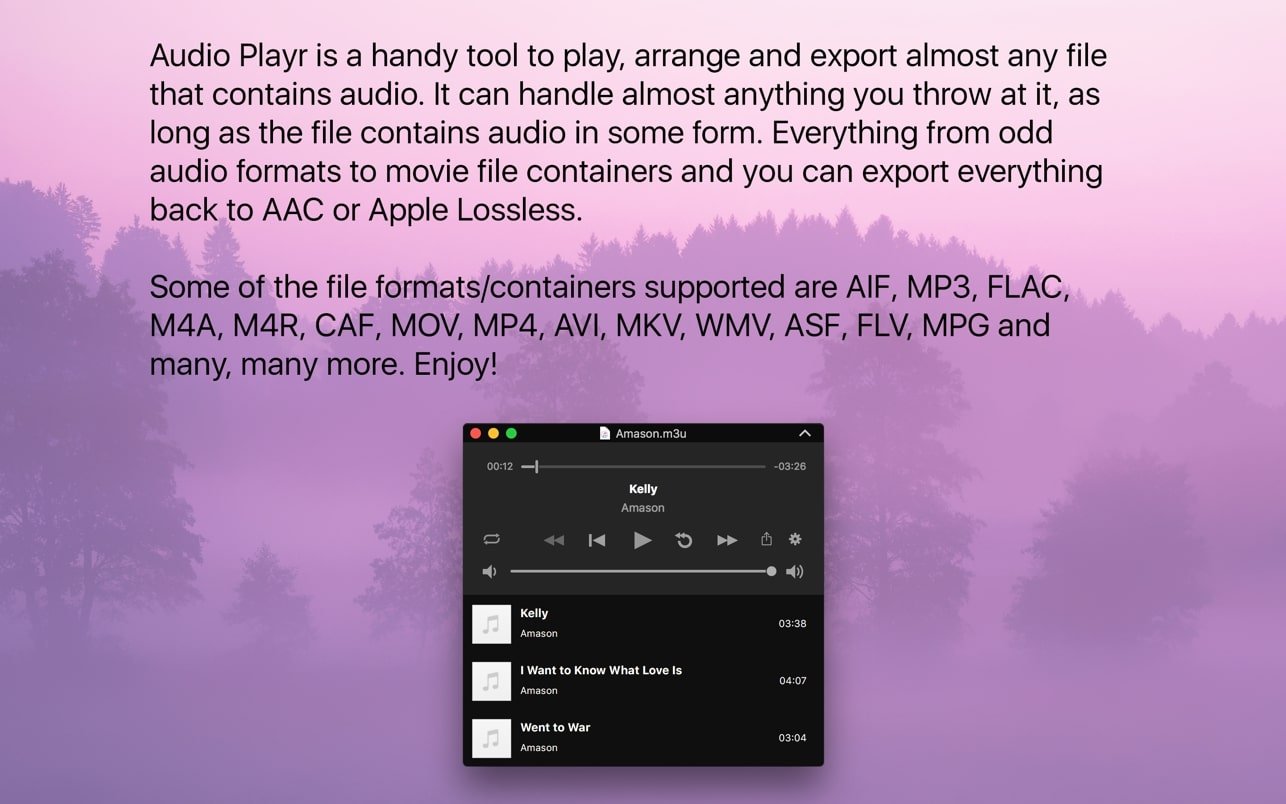 Audio Playr 截图 2