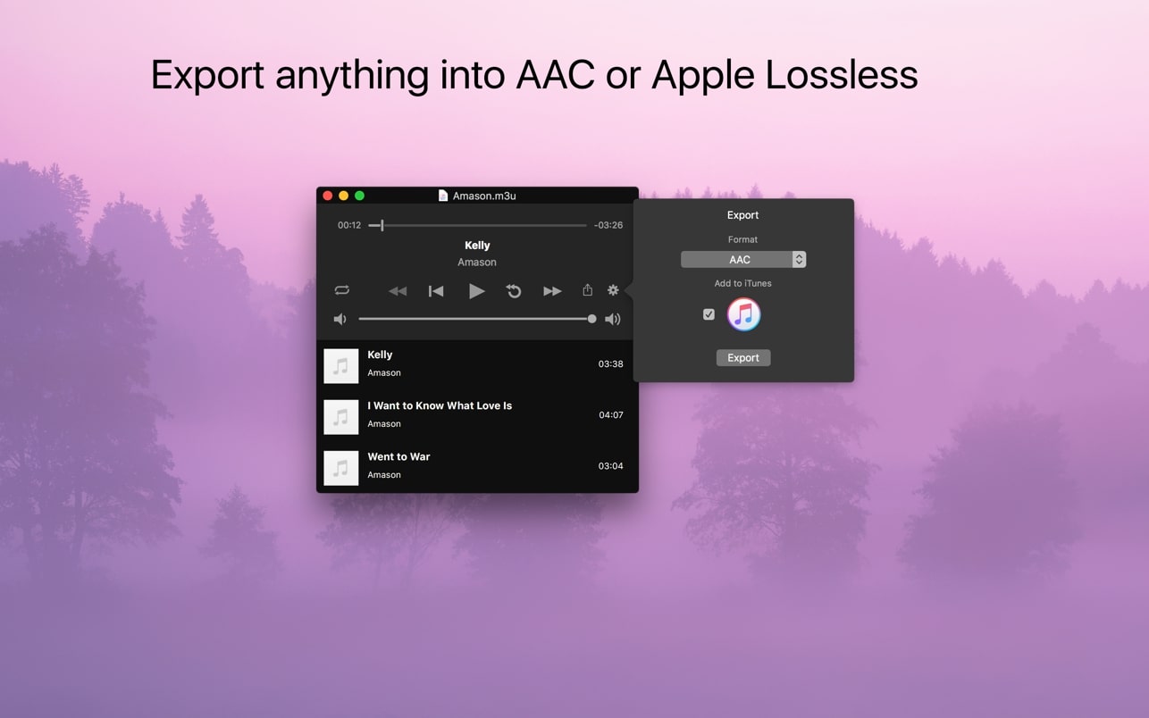 Audio Playr 截图 3