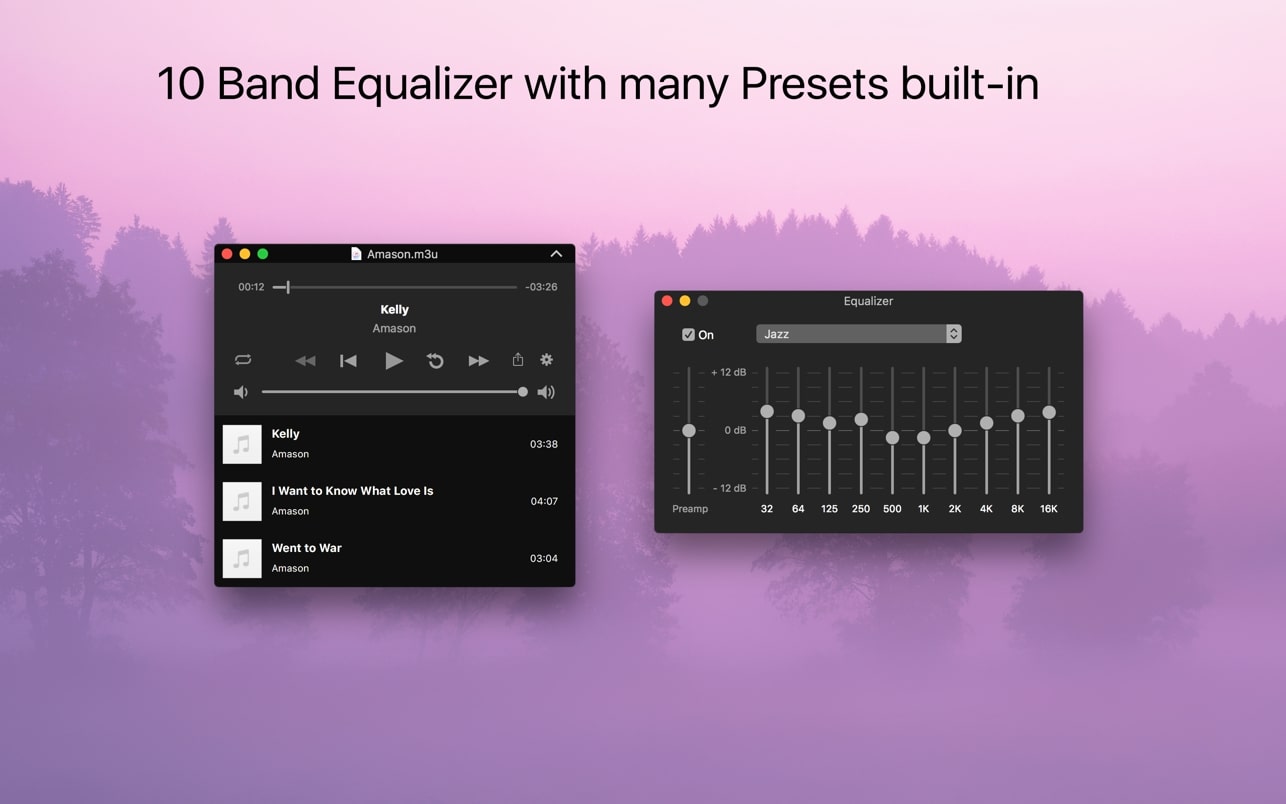 Audio Playr 截图 4