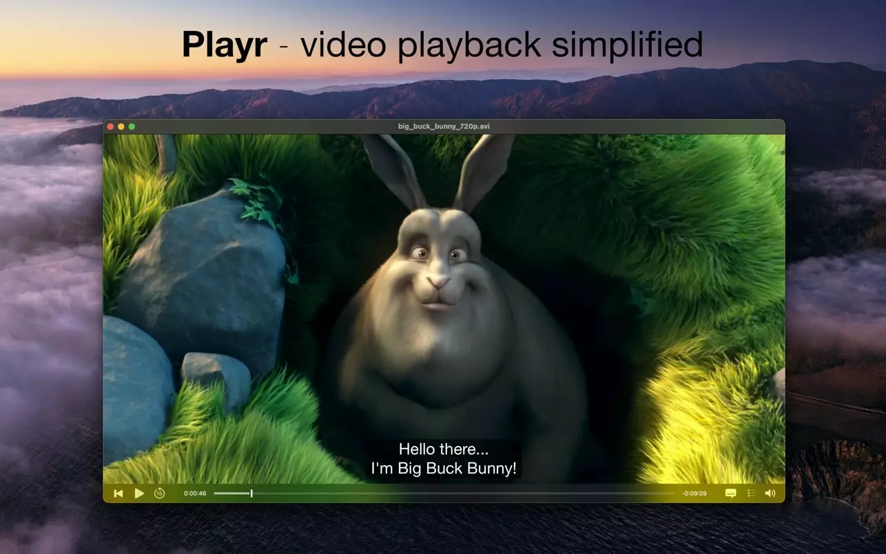 Playr 截图 1