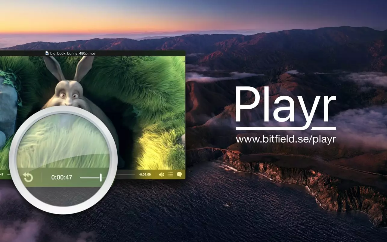 Playr 截图 4