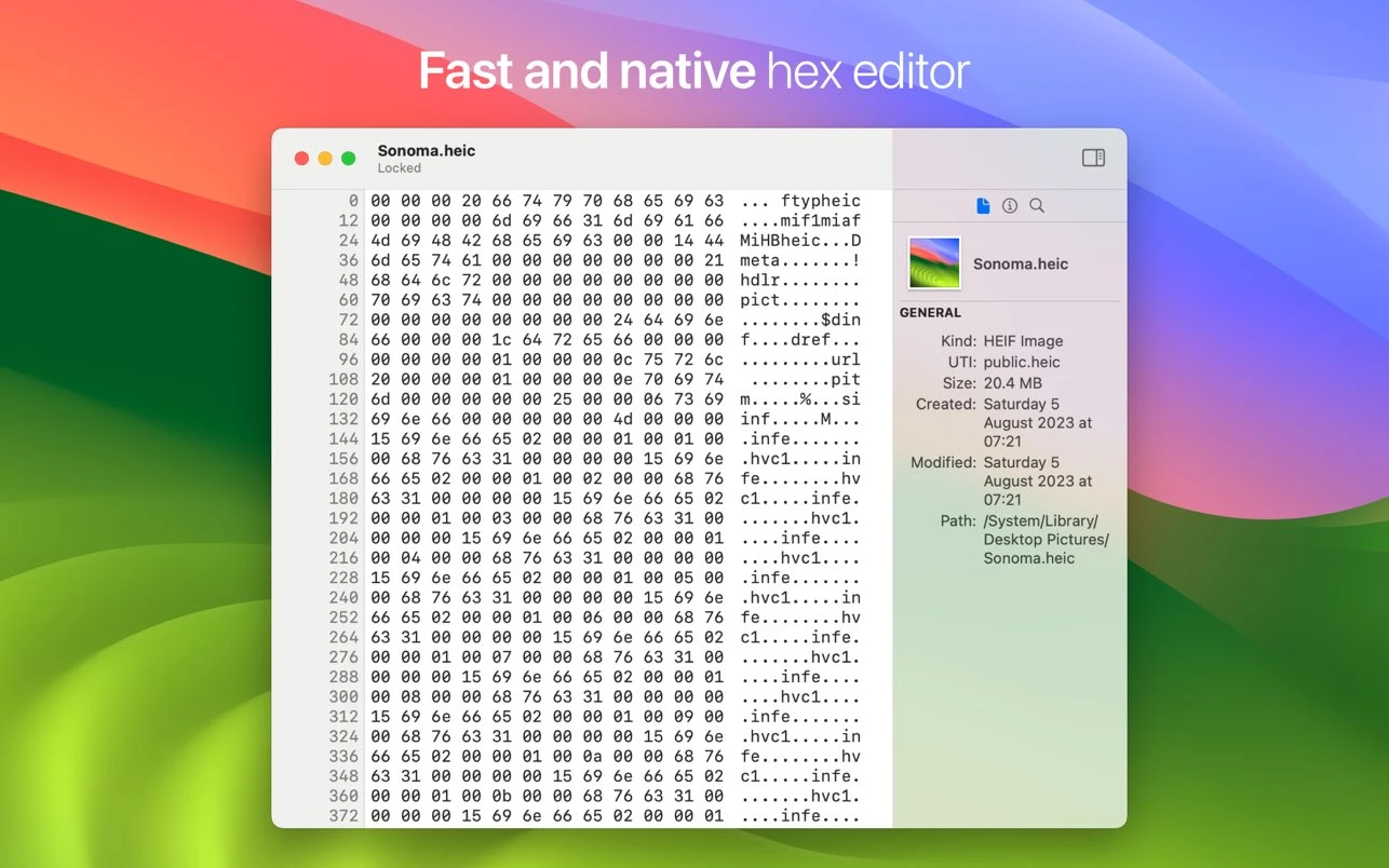 HextEdit screenshot 1