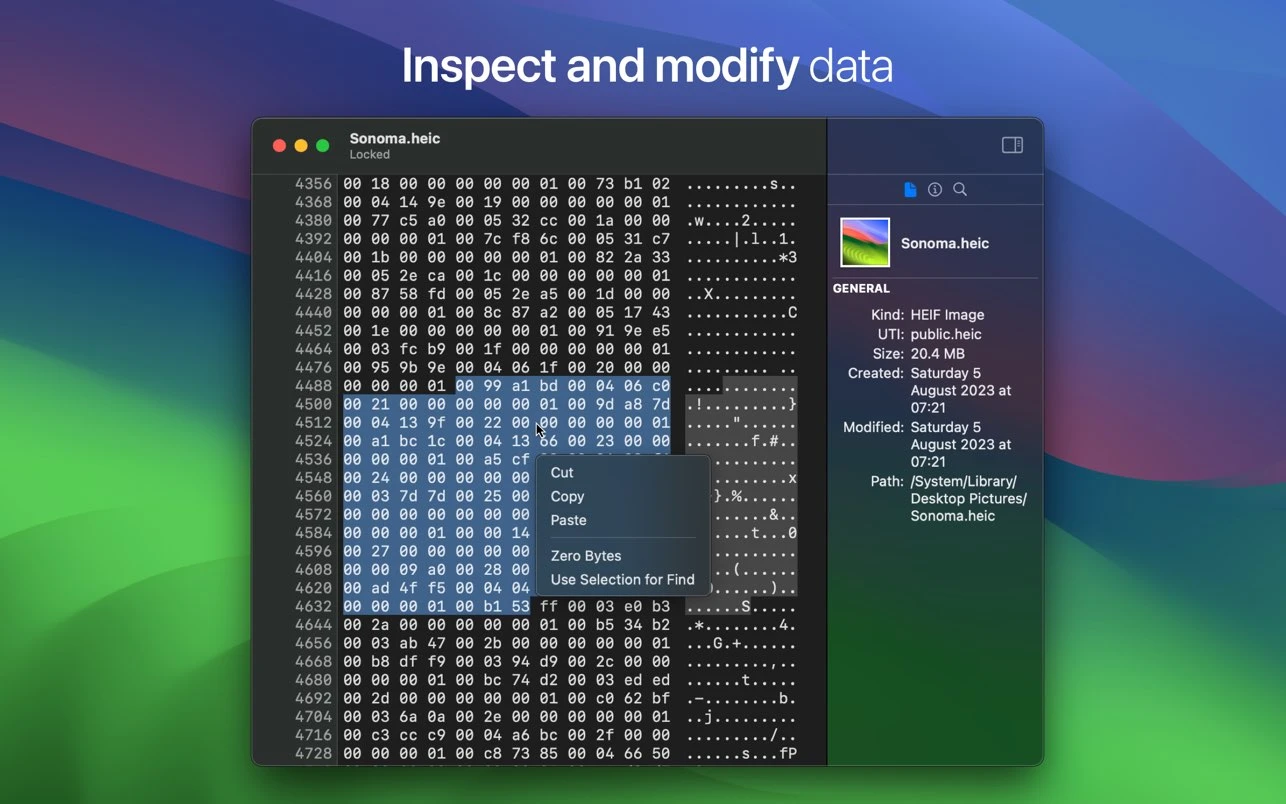HextEdit screenshot 4
