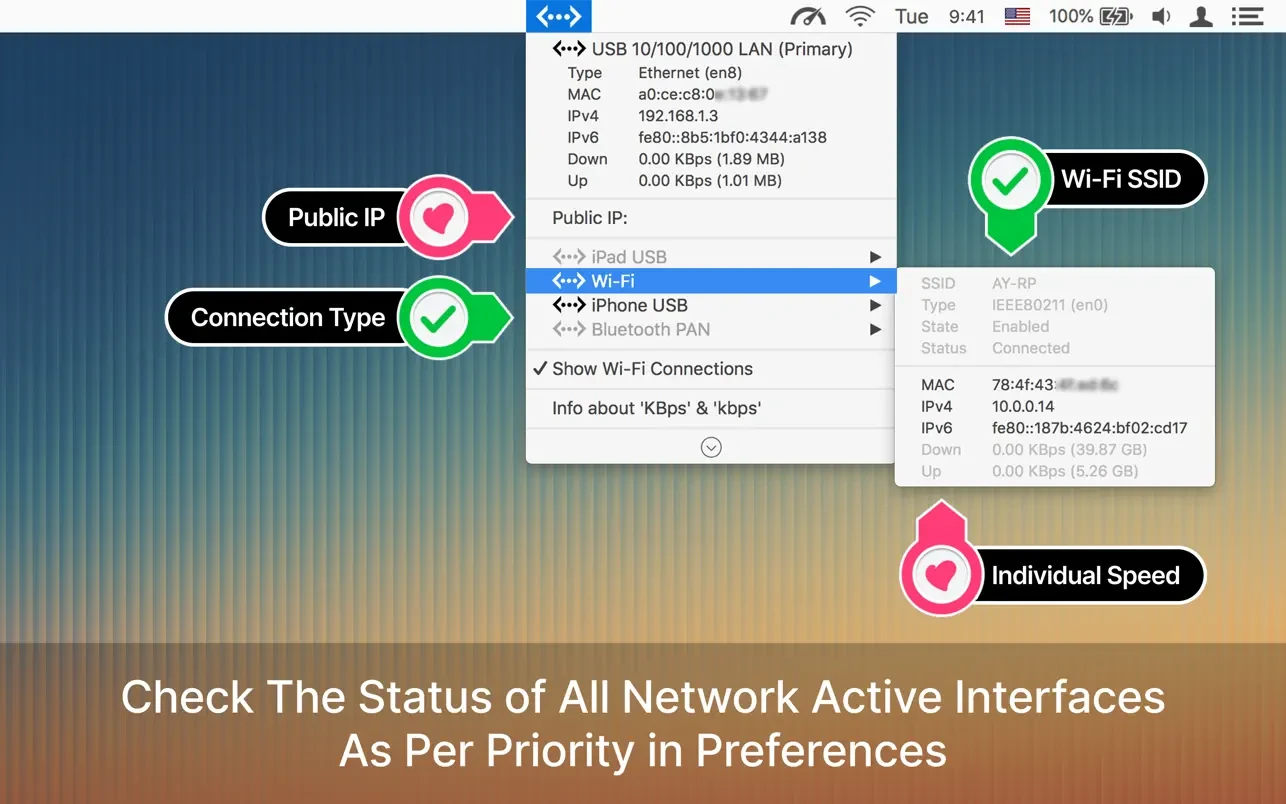 Ethernet Status: LAN Monitor 截图 3