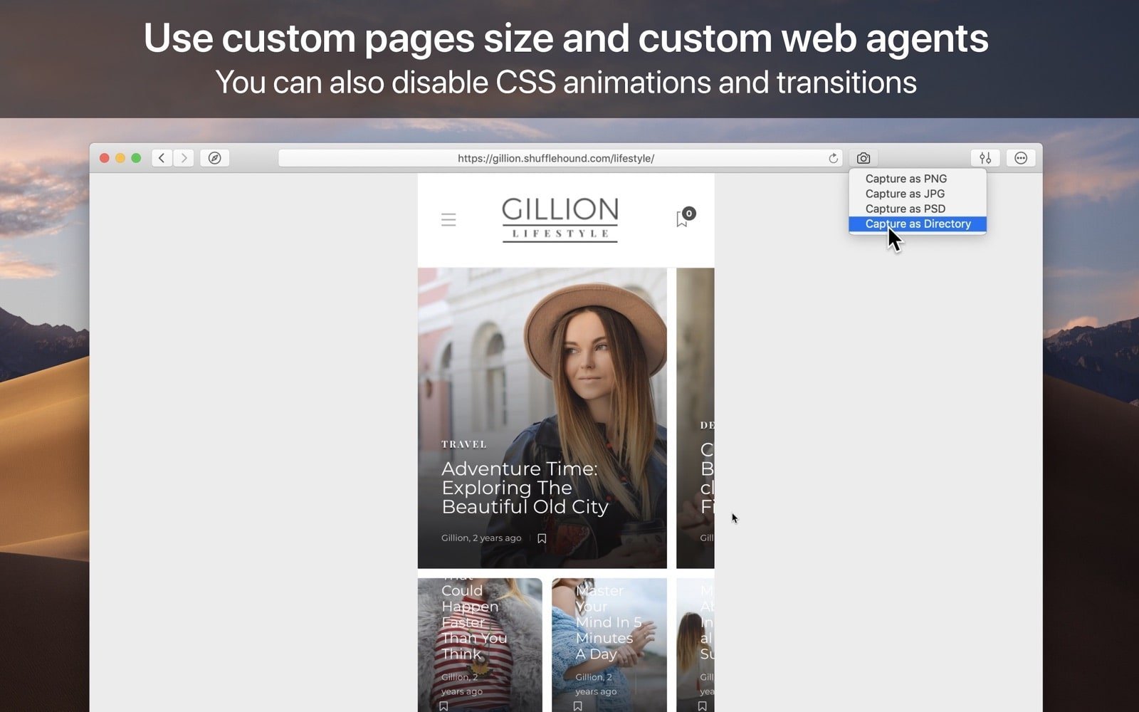WebToLayers 截图 2