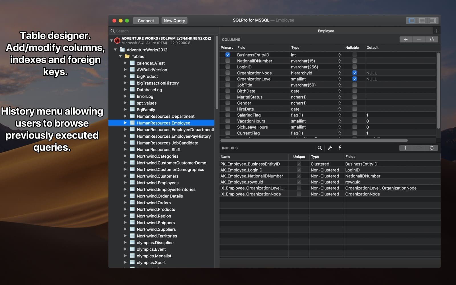 SQLPro for MSSQL 截图 2