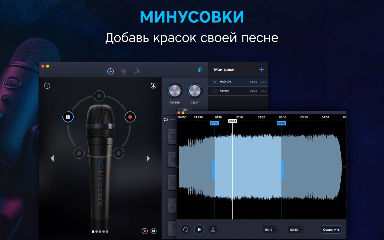 Pro Microphone 截图 3