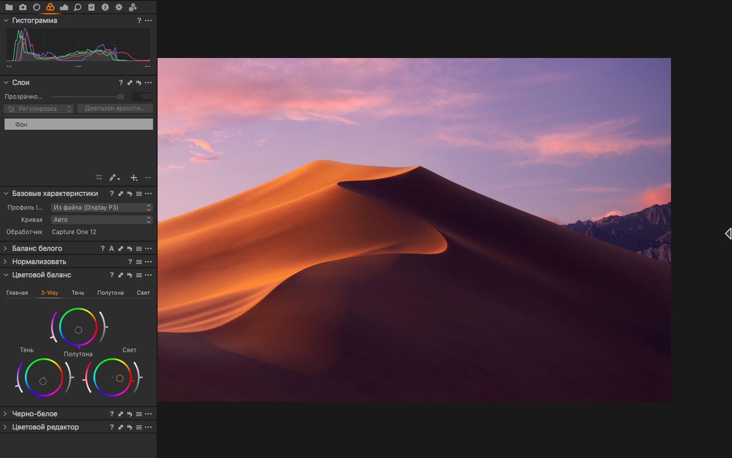 Capture One Pro 截图 2