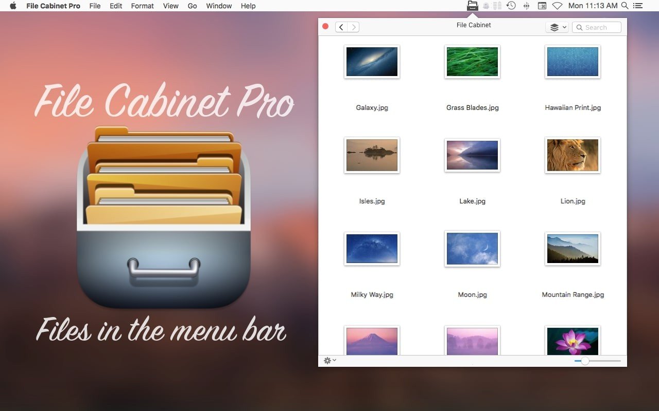 File Cabinet Pro 截图 1