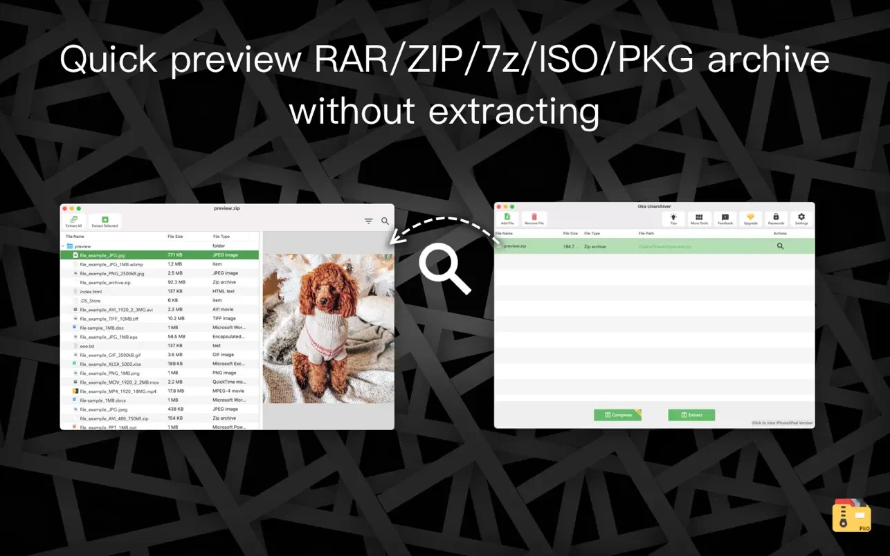 Oka Unarchiver Pro - Unzip RAR 截图 1